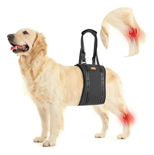 Dog Lift Harness Pet Sling Support - Arnés De Elevación Para