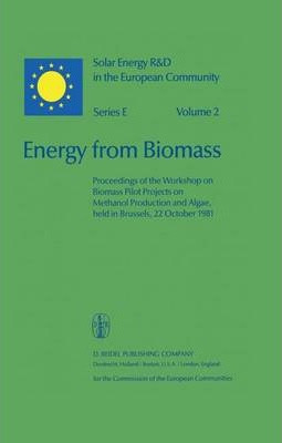 Libro Energy From Biomass - Willeke Palz