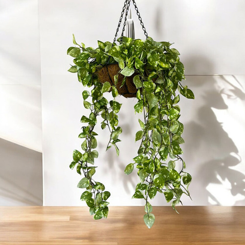 Planta Colgante Jardin Vertical Artificial Potus Pothos 78cm Color Linea4