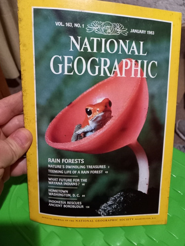 Revista National Geographic Enero De 1983 Rain Forests 