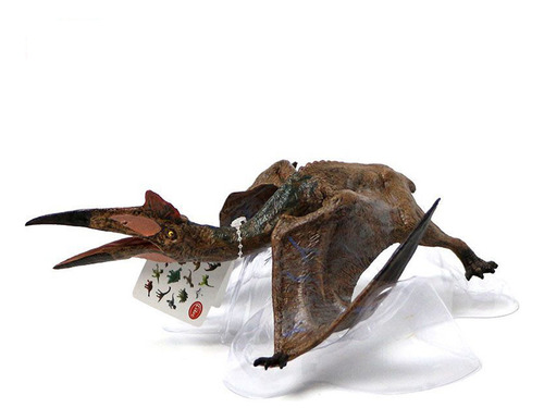 Pterosaurios, Dinosaurios Voladores, Juguete De Simulación D