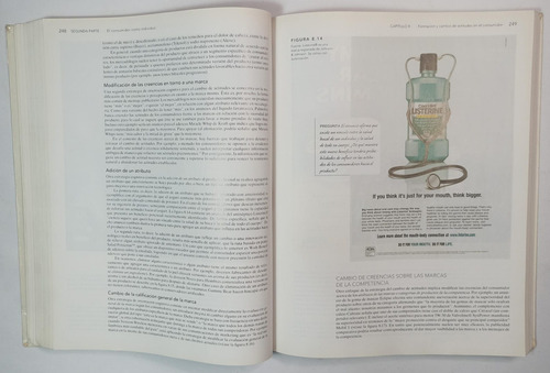 Comportamiento Del Consumidor, 10°ed.-schiffman, Lazar Kanuk (Usado)