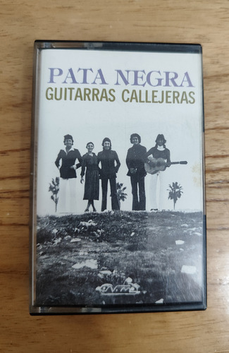 Pata Negra - Guitarras Callejeras Estándar (Usado)