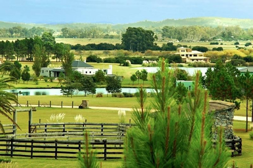 Imagen 14 de 20 de Chacra En Venta En Maldonado, El Quijote 206