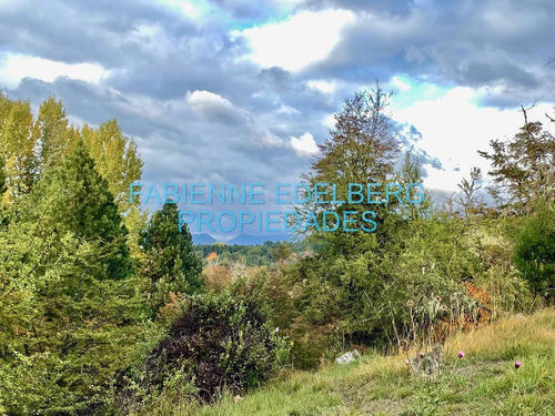 Imagen 15 de 20 de Terreno 2000 M2 En Peñon Del Lolog - San Martin De Los Andes