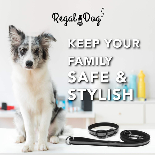 Conjunto De Collar Y Correa Reflectantes Negros Para Perro
