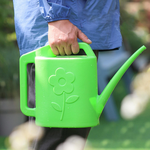 Regadera Para Plantas De Interior Regadera De Flores Con