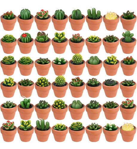 48 Velas De Cactus Suculentas, Velas De Plantas Para Baby S.