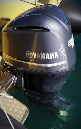 Motor Fuera De Borda - Yamaha Df 300 Betx - 4t - Usado