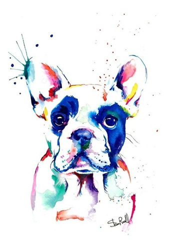 Cuadro Bulldog Frances 30x30 Cms