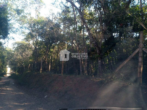 Imagem 1 de 9 de Terreno, Água Espraiada (caucaia Do Alto), Cotia - R$ 1 Mi, Cod: 4205 - V4205