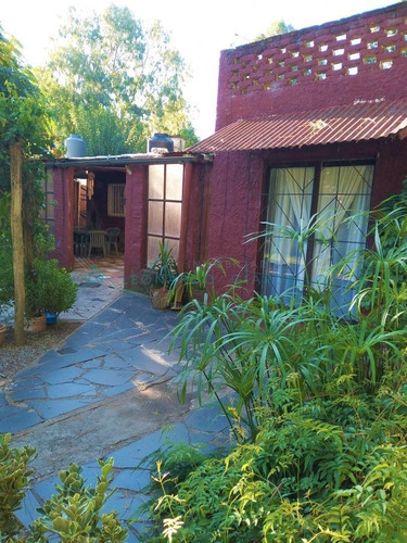 Imagen 3 de 23 de Casa Y Apto. En Balneario Zagarzazu