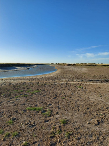 Imagen 14 de 17 de Campo En Venta En Pta Indio