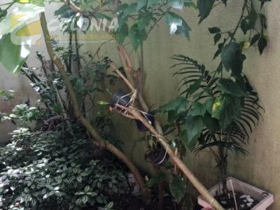 Imagem 8 de 30 de Casa - Ref: 37931