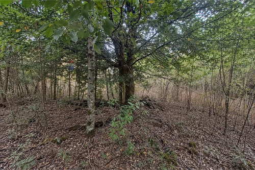 Venta De Terreno En Caburgua