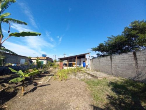 Imagem 12 de 17 de Mini Chácara No Bairro Sítio Velho, Em Itanhaém, Com Ar Condicionado No Quarto, Água Sabesp, Plantações, Galinheiro No Fundo, Analisa Proposta À Vista Ref: 9694/ac
