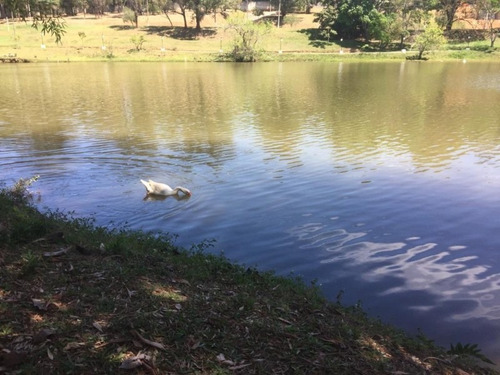 Imagem 3 de 6 de Terreno À Venda, 2500 M² Por R$ 480.000 - Condomínio Terras De São Lucas - Sorocaba/sp, Terreno Com Frente Para O Lago, Excelente Localização - Te0134 - 67640112
