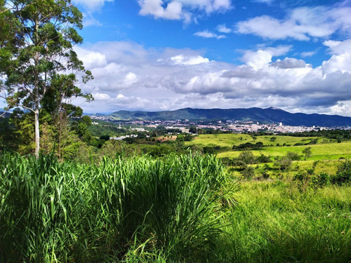 Imagem 6 de 8 de Atibaia Sp Área 16.000 M². Documentação Ok. Cód. Abl-1