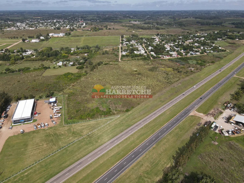 Terreno Logístico Sobre Ruta 5 Con 200 M De Frente, Dueño Financia!