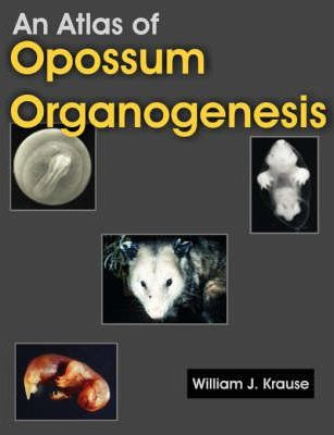 Libro An Atlas Of Opossum Organogenesis : Opossum Develop...