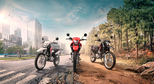 Imagen 1 de 23 de Honda Xr250 Tornado Motopier Wave Xr 150 Xr 190 Twister