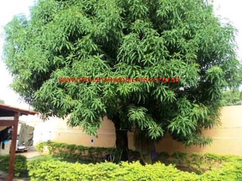 Imagem 16 de 17 de Centro/mesquita.casa Com 2 Quartos, Quintal Amplo, Piscina, 5 Vagas De Garagem E 1 Anexo - Ca00457 - 32690444