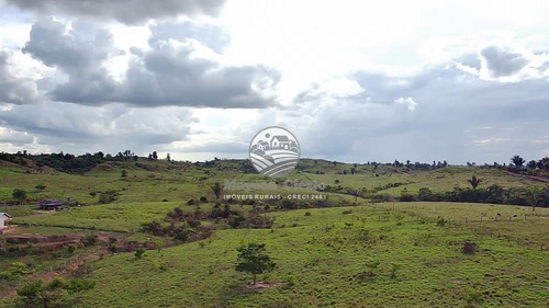 Imagem 5 de 8 de Venda Sítio Theobroma Em Rondônia - Sig347