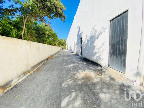 Renta Local Comercial 1 Ambiente Francisco De Montejo