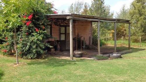 Quinta En Venta De 3 Dormitorios En San Pedro