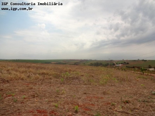 Imagem 3 de 4 de Terreno Industrial Cardeal - Te02157 - 2818011