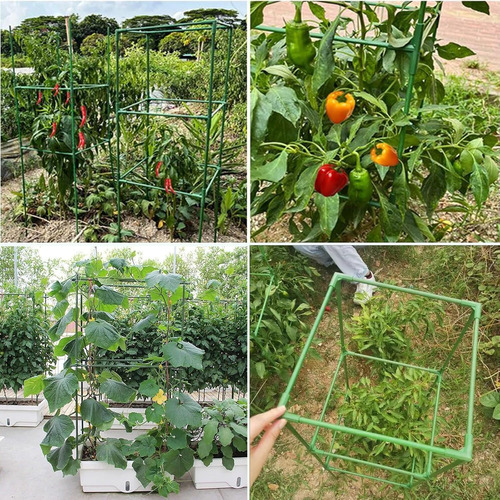 Jaulas De Soporte Para Plantas De Tomate, 3 Paquetes Cuad...
