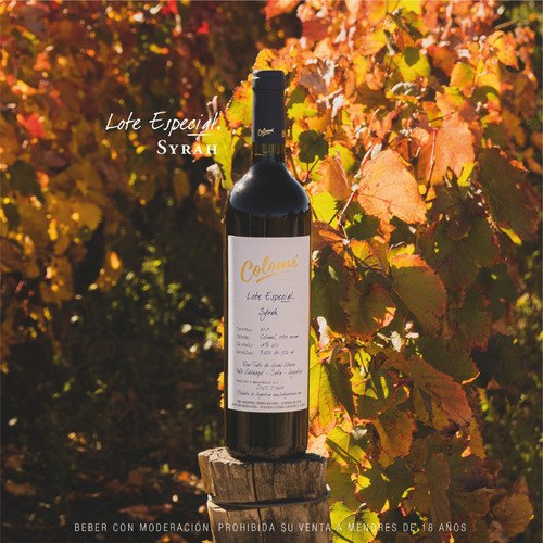 Vino Tinto Colome Lote Especial Syrah 6x750 Ml - Salta