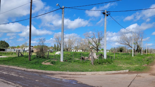 Terreno - Oportunidad - Navarro - Provincia De Buenos Aires