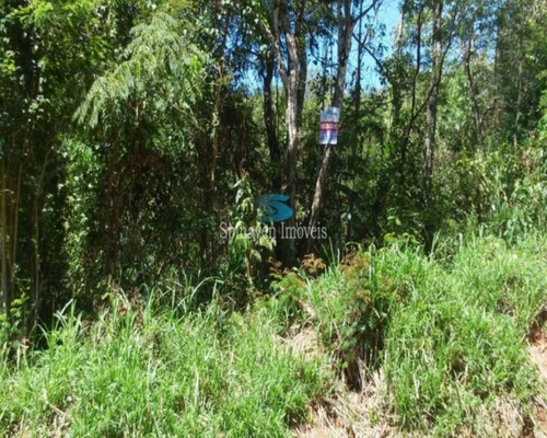 Imagem 3 de 11 de Terreno De 6.000 Metros Quadrados Em Condomínio Fechado Atibaia - Venda - Tc00105 - 69735407