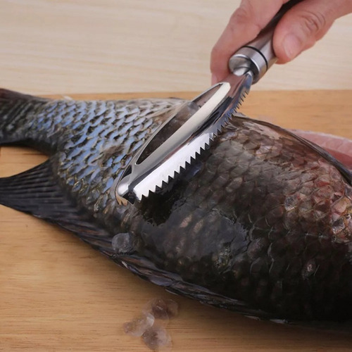 Cepillo De Acero Inoxidable Para Raspar Escamas De Pescado