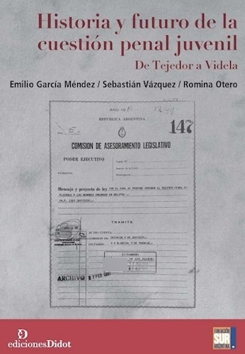 Historia Y Futuro De La Cuestión Penal Juvenil, Didot