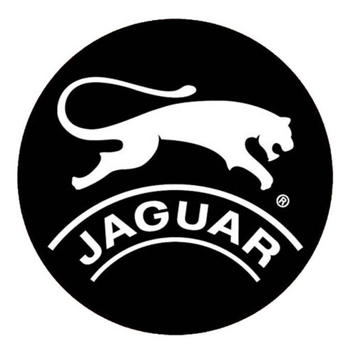 Zapatilla Jaguar 9037/az