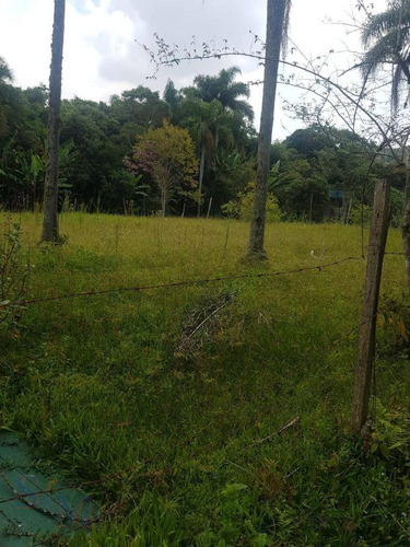 Imagem 14 de 16 de Sítio - Mogi Das Cruzes - Ch0010