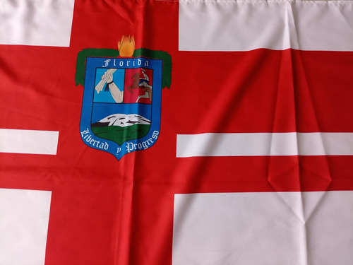 Bandera Departamental De Florida 150x90 Cm, Fabricamos Todas