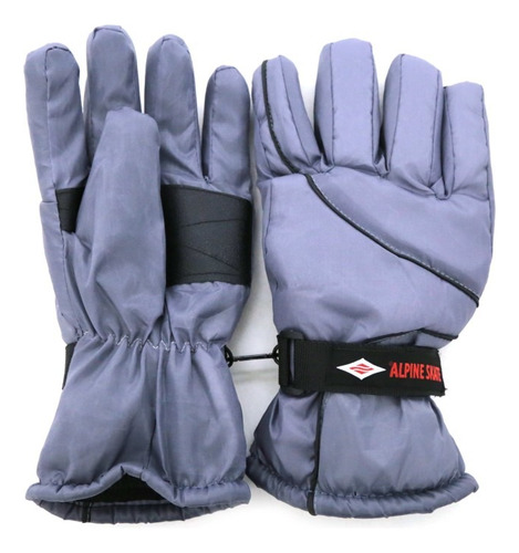 Guantes De Invierno Moto Alpine Skate C/ Ajuste Reforzado