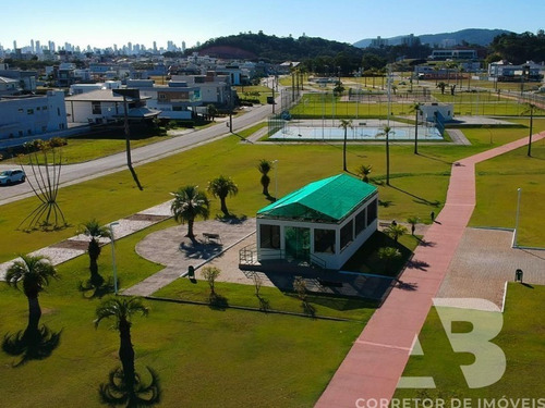 Imagem 6 de 10 de . - Te00019 - 70483873