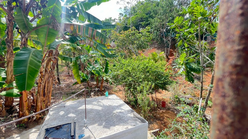 Casa De 6 Cômodos Com Área Livre