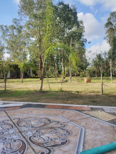 Quinta Con 5 Casas A Terminar -20.000 Metros Cuadrados