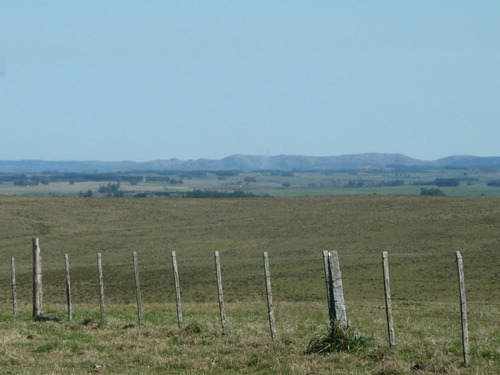 Campo En Venta En Rocha Ref. 5130 (ref: Cbr-938)