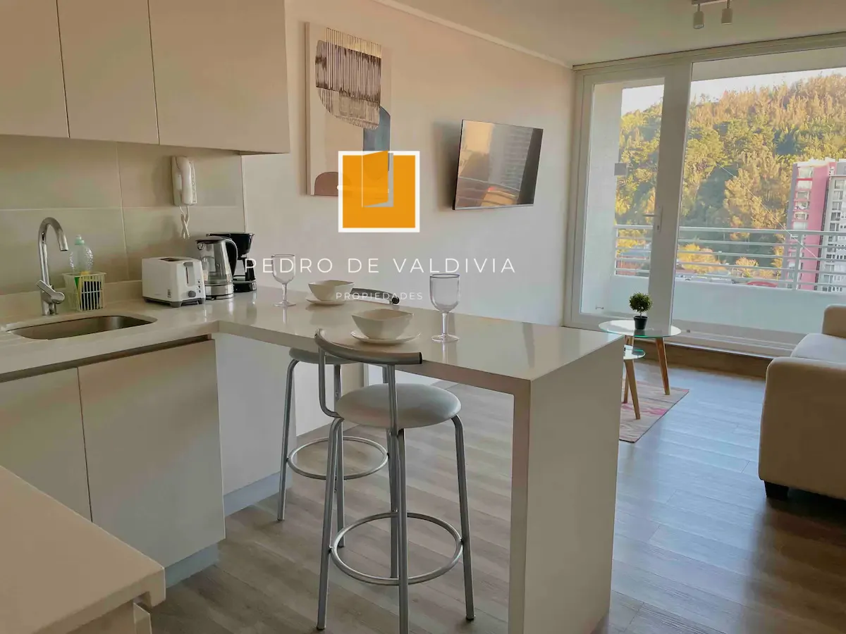 Imagen 4 de 18 de Arriendo Moderno Departamento Semi Amoblado Vista Al Parque
