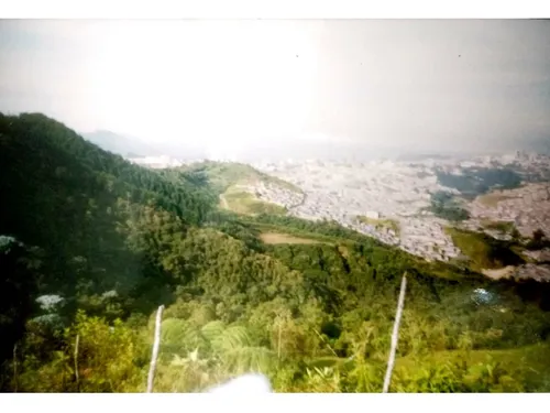 Lote En Venta En Sinaí Manizales | Venta De Lotes