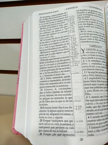 Biblia Rvr1909 (antigua) Letra Grande Imitación Piel Rosa