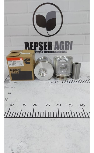 3926963   Piston Tipo Hongo 6ct    