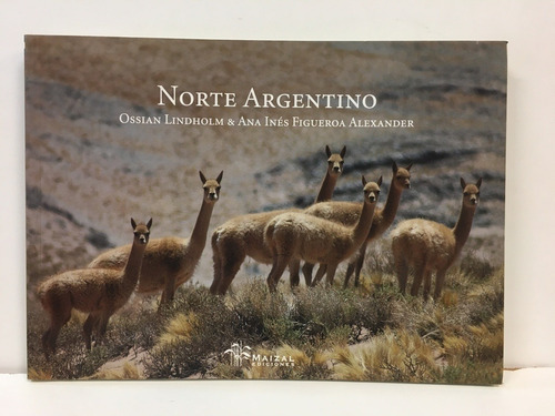Norte Argentino, de Lindholm Figueroa Alexander. Editorial Maizal en español