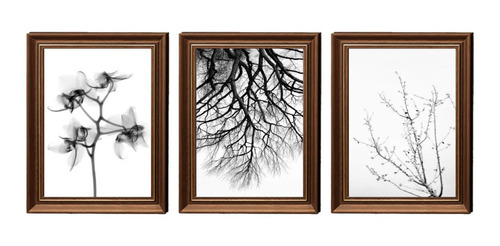 Quadro Decorativo Flores Preto E Branco Decoração Casa Sala